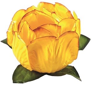 10453